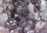 Purple Amethyst Cluster - Turkey #55354-1